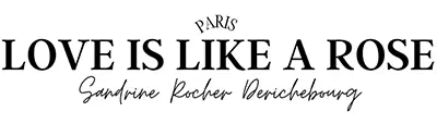 createurs robes de mariees 
